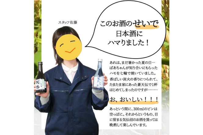 気仙沼 日本酒 飲み比べセット [気仙沼さん 宮城県 気仙沼市 20563814] お酒 酒 本醸造 特別本醸造 特別本醸造別格 純米酒 贈り物 プレゼント 常温