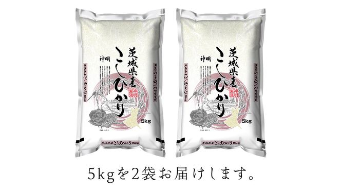 【 新米 】 令和7年産 茨城 こしひかり 10kg（ 5kg × 2本 ） 精米 茨城県 国産 お米 米 コメ 白米 ライス ご飯 おいしい コシヒカリ ごはん 新生活 プレゼント 新生活応援 必要なもの 便利 おすすめ 消耗品 一人暮らし 二人暮らし 必要