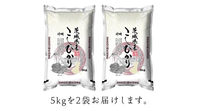 【新米】令和6年産 茨城 こしひかり 10kg（5kg×2本） 精米 茨城県 国産 お米 米 コメ 白米 ライス ご飯 おいしい コシヒカリ ごはん [DA01-NT]