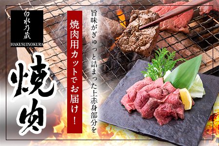 あか牛 赤身焼肉用 1kg (250g×4個) 白水乃蔵《60日以内に出荷予定(土日祝除く)》あか牛 あかうし 赤牛 焼肉 冷凍 小分けパック---sms_fhakakay4_60d_r7_33500_1kg---