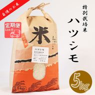 BI-15b-R7 【12か月定期便】【特別栽培米】垂井町産ハツシモ(5kg×12回）