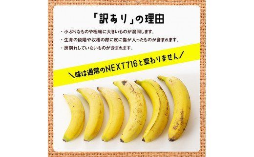 【訳あり】国産バナナ１ｋｇ　3ヶ月定期便 [F5803]