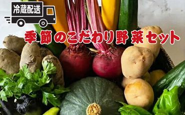 159-2024-02　【冷蔵便】季節のこだわり野菜セット 野菜詰め合わせ（春野菜 夏野菜 ハーブ など）