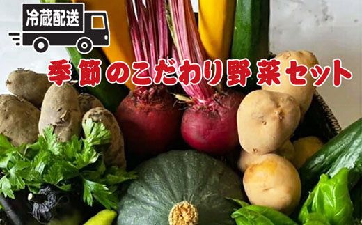 159-2024-02　【冷蔵便】季節のこだわり野菜セット 野菜詰め合わせ（春野菜 夏野菜 ハーブ など）