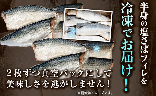 塩さばフィレ8枚入(真空パック入) 魚鶴商店《30日以内に出荷予定(土日祝除く)》 和歌山県 日高町 さば 塩サバ 鯖---wsh_futssbf_30d_23_11000_8p---