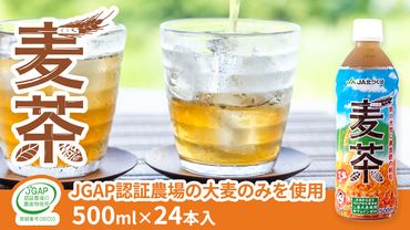 【 JA 北つくば 】 JGAP認証 麦茶 1箱 ( 500ml × 24本 ) JGAP JA お茶 茶 ペットボトル 麦 大麦 二条大麦 ノンカフェイン カフェインゼロ [AE020ci]