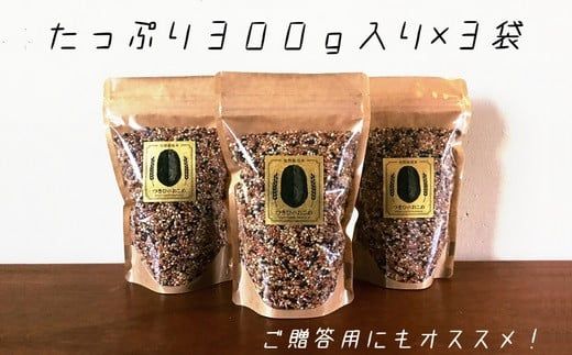 B1-13 自然栽培 古代米 ブレンド 300g×3袋 【赤米・黒米・みどりもち】