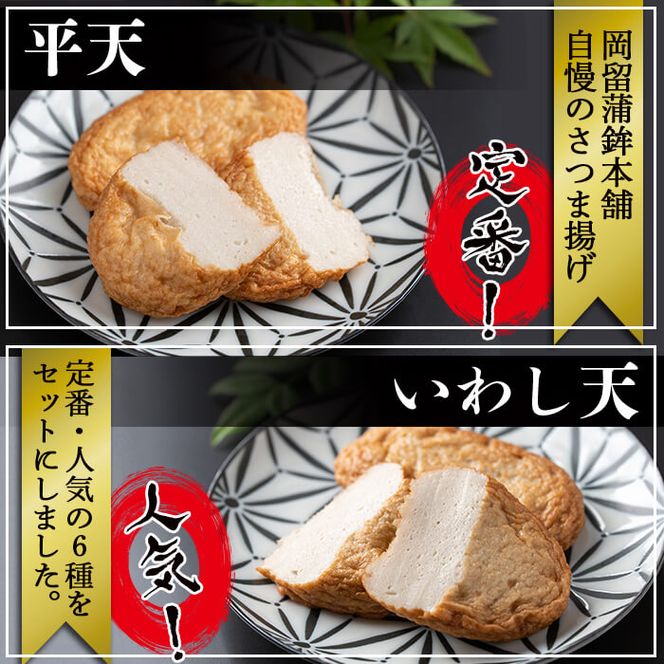 本場鹿児島のさつま揚げセット(全6種・計28枚)  a5-298