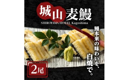 SHIROYAMA HOTEL kagoshima 城山麦鰻　K096-007