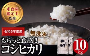 ＼ 年内発送 12/24(火)決済完了分まで！／【 新米 】【 無洗米 】 令和6年産 田村産 コシヒカリ 10kg ( 5kg × 2袋 ) 精米 白米 贈答 ギフト プレゼント 美味しい 米 kome コメ ご飯 ブランド米 精米したて お米マイスター 匠 食味鑑定士 福島 ふくしま 田村 安藤米穀店