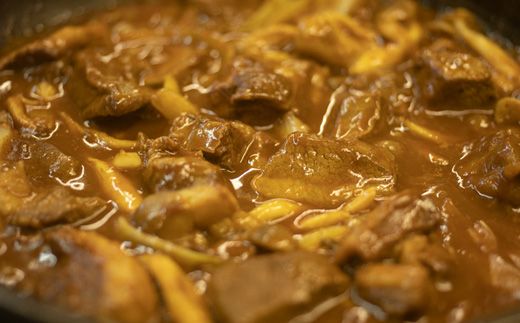 カラダ喜ぶ鹿肉のシチュー400g×2袋【41001】