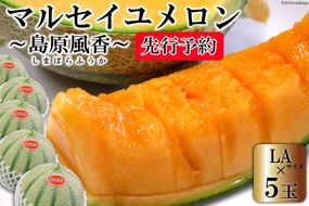 BE160【令和8年度出荷分】マルセイユメロン～島原風香～（LA×5玉） [農事組合法人　『舞岳の里』生産組合 長崎県 島原市 BE160] メロン 赤肉 果物 くだもの フルーツ 産地直送