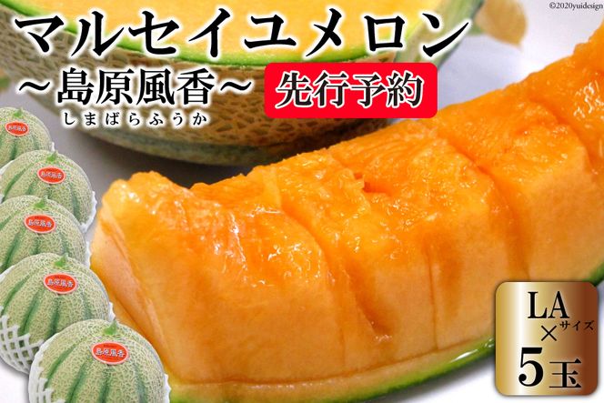 y茧szBE160yߘa8Nxoוz}ZC``iLA×5ʁj [_g@l@wx̗xYg 茧 s BE160]  ԓ ʕ  t[c Yn