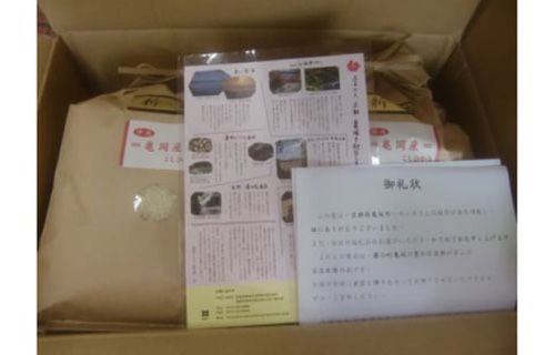 米 契約農家の亀岡米食べ比べセット（コシヒカリ 5kg キヌヒカリ 5kg）10kg ◆食べくらべ 米 白米 ふるさと納税米