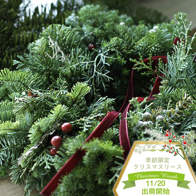 y_ސ쌧钬z159-2039-12@GߌNX}X[Xij~łXƂGo[O[Ɩ؂̎gݍ킹[XBtbVȐX̍Ƃ₪Ă̓hCɂȂĂ䂭F̈ڂ낢y߂܂Bԍނ͂CɂĂpӂ܂qo׎:2025N1120