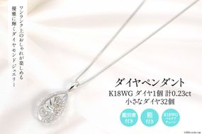 K18WG 計0.23ctの1個のダイヤとまわりに32個の小さなダイヤ付きのペンダント Islauth19 [slauth 山梨県 韮崎市 20743434] アクセサリー ネックレス ジュエリー ダイヤ シンプル おしゃれ プレゼント ギフト 贈りもの 贈答