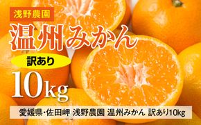 【先行予約】浅野農園の温州みかん 訳あり10kg｜柑橘 みかん ミカン フルーツ 果物 愛媛 ※2024年12月上旬～12月中旬頃に順次発送予定 ※離島への配送不可