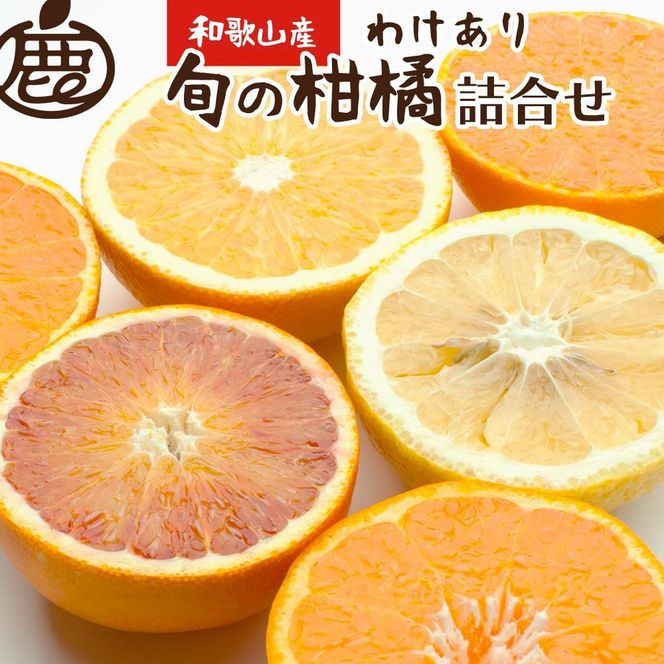 旬の柑橘詰合せ2kg+60g（傷み補償分）【家庭用 訳あり 先行予約】CZ043