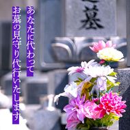 お墓の見守り　年2回コース◇