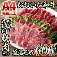 おおいた和牛 特選 焼肉 セット (合計600g・赤身300g+カルビ300g) 国産 牛肉 肉 霜降り 低温熟成 A4 和牛 ブランド牛 カルビ BBQ 冷凍 大分県 佐伯市【DH214】【(株)ネクサ】