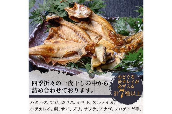 のどくろ、笹カレイ入り　一夜干し詰め合わせ　プラチナ　UO00150