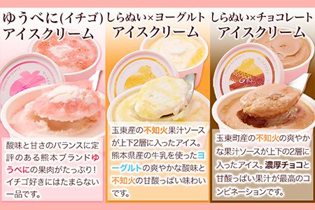 ぎょくとうセレクト アイスアソートセット 12個(全5種)《60日以内に出荷予定(土日祝除く)》 熊本県玉名郡玉東町 すもも ハニーローザ いちご イチゴ いちご しらぬい 不知火 チョコ チョコレート ヨーグルト アイス シャーベット ぷらっとぎょくとう---sg_fgkticemonaka_60d_18500_12p---