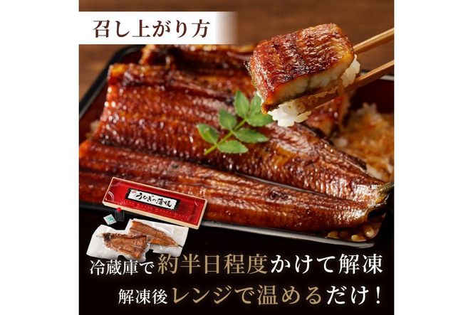 うなぎの蒲焼き2~3人前(1尾)　ウナギ 鰻 蒲焼 かばやき タレ 丑の日 ふるさと納税 うなぎ ふるさと納税 鰻 国産 ふるさと納税 惣菜 京都 AN00093