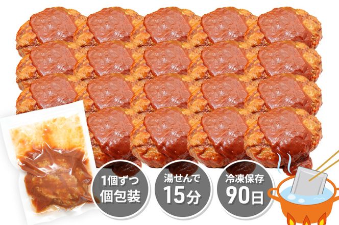 《定期便5ヶ月》ドドンと3.2kg！昔懐かしいトマト系デミグラスソースハンバーグ (160g×20個)×5回 肉 洋食 簡単 大容量 湯煎 湯せん 個包装|06_thm-040605