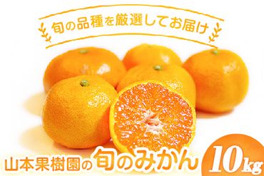 山本果樹園の旬のみかん 10kg 山本果樹園《９月中旬-2月末頃出荷予定》蜜柑 柑橘 ひのあかり 日南 豊福　肥後早生 青島 旬の品種をお届け！フルーツ 果物---sh_ymmtmkn_bc92_24_14500_10kg---