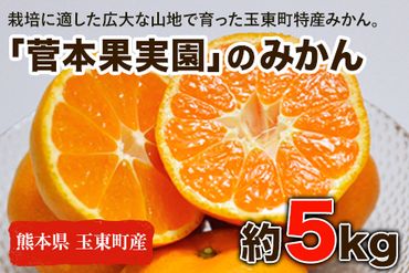 『菅本果実園』のみかん★約5kg(2S-Lサイズ)  フルーツ 秋 旬【日付指定不可】 ★熊本県玉名郡玉東町 全国にファン多数！エコファーマー菅本さんのみかん♪『菅本果実園』《10月中旬-12月末頃出荷》---sg_sugamikan_bc1012_24_12500_5kg---