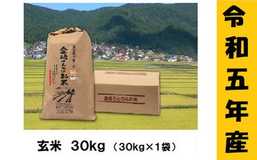 [9月から寄附額・容量変更無][令和5年産]「金崎さんちのお米」玄米30kg(5-16A)