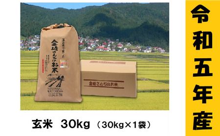 【９月から寄附額・容量変更無】【令和5年産】「金崎さんちのお米」玄米30kg(5-16A)