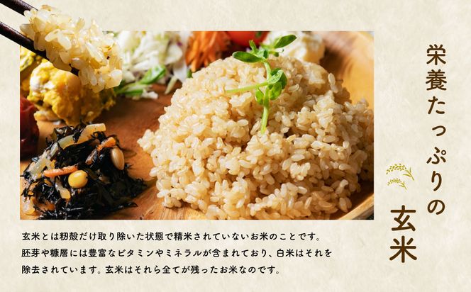 【新米受付・令和8年産米】特別栽培米 新潟県村上市岩船産 コシヒカリ玄米 10kg（5kg×2袋）NAB4019