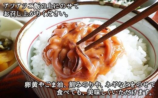3163. イカの塩辛 500g イカ スルメイカ いか 珍味 海鮮 魚介 送料無料 北海道 弟子屈町