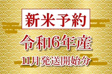 [A075] 【定期便】【新米予約（11月発送開始）】【無農薬】【白米】能登のこだわり自然栽培こしひかり『羽咋米』 ３kg×１２回コース