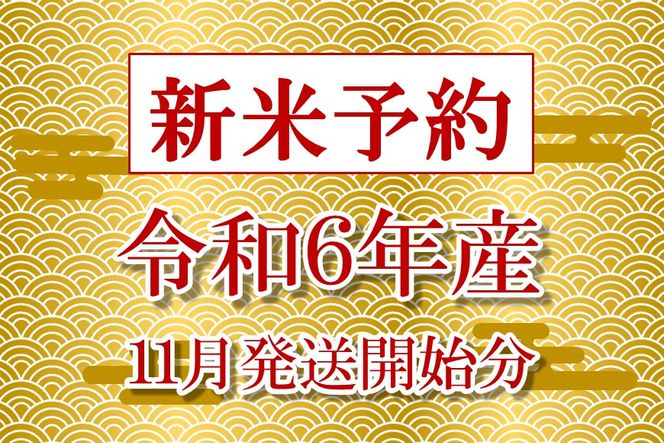 [A249] 【定期便】【新米予約（11月発送開始）】【無農薬】【白米】能登のこだわり自然栽培こしひかり『羽咋米』 10kg×６回コース