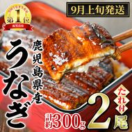 【0104347a-2609】＜9月上旬発送予定＞東串良町のうなぎ蒲焼(無頭)(2尾・計約300g・タレ、山椒付) うなぎ 高級 ウナギ 鰻 国産 蒲焼 蒲焼き たれ 鹿児島 ふるさと 人気【アクアおおすみ】