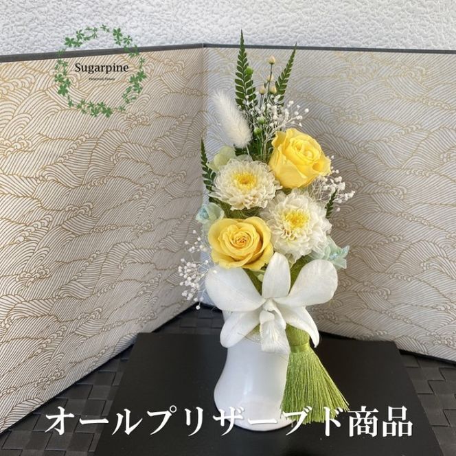 yʌtszAJ015-1 vU[uht[AW yS()/ Mqzts VK[pC