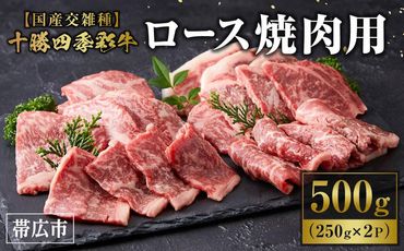 十勝四季彩牛ロース焼肉用500g（250g×２P）【国産交雑種】 CN11