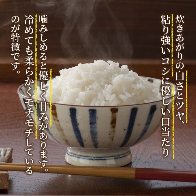 【お米の定期便】ベッチの匠米　計15ｋｇ（3ｋｇ×5ヶ月）【申込翌月より発送】
