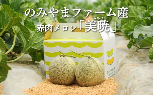 《2026年分受付中》≪数量限定！≫のみやまファームの赤肉メロン「美暁」（各1.6kg以上を2玉）【01167】