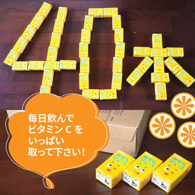 果汁100％紙パックみかんジュース125ml×40本_1521R