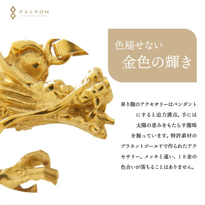 アクセサリー 【DRAGON】プラネットゴールド 合金 群馬県 千代田町 ペンダント ネックレス 金 ジュエリー 送料無料 お取り寄せ ギフト 贈り物 贈答用 プレゼント