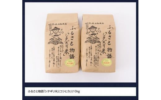 【令和６年産】宮崎県産こしひかり「シタギリ米」１０kg【米 お米 白米 精米 国産 宮崎県産 こしひかり おにぎり】 [D04202]