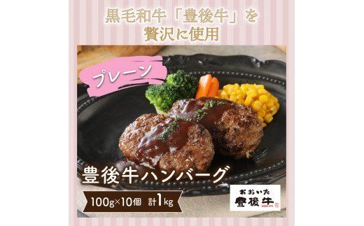 豊後牛ハンバーグ「プレーン」1kg_1201R