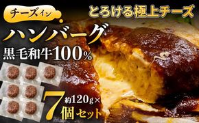 黒毛和牛100%チーズインハンバーグ(約120g×7Pセット)【魚住商店】_HA1548