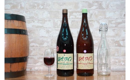 笛吹ワイン一升瓶辛甘2本セット（小分け用ビン付）003-009