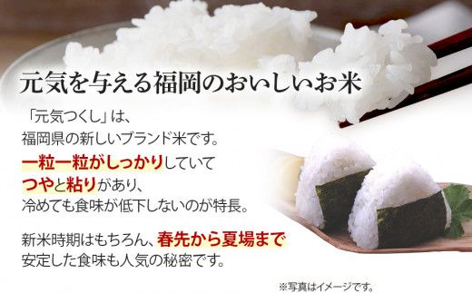 令和7年産　福岡県産ブランド米「元気つくし」白米10kg【11月上旬頃より順次出荷予定】