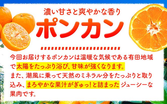 【先行予約】紀州和歌山有田産ポンカン5kg 株式会社魚鶴商店《2026年2月上旬～3月中旬頃出荷予定》和歌山県 日高町 ぽんかん フルーツ 柑橘---wsh_uot97_2j3c_25_16000_5kg---