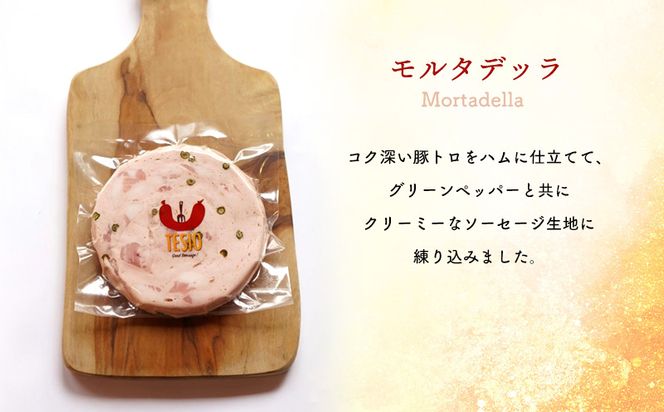 自家製ハム・ソーセージ専門店TESIO「手始めTESIO」セット（合計480g） 牛肉 豚肉 専門店 自家製 ドイツ製法 ソーセージ ウィンナー ウインナー ボローニャ モルタデッラ ハム お試し グルメ 朝食 おつまみ 手作り 食べ比べ 詰め合わせ 国産 沖縄県